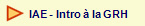   IAE - Intro  la GRH