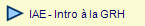   IAE - Intro  la GRH