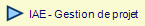  IAE - Gestion de projet