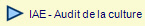   IAE - Audit de la culture